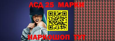 амф Донской