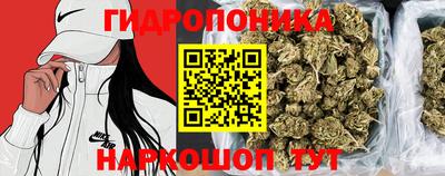 амф Донской