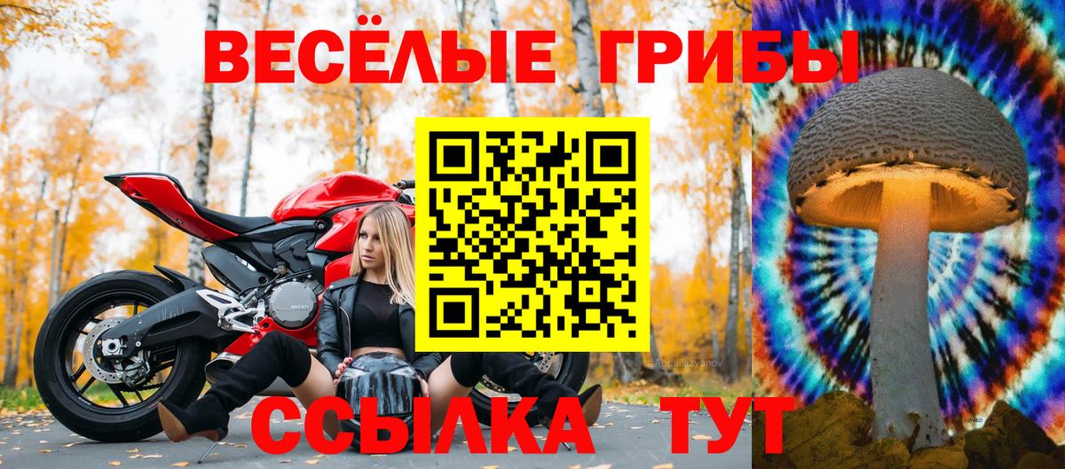 Псилоцибиновые грибы мицелий  Вход с VPN  Калининград 