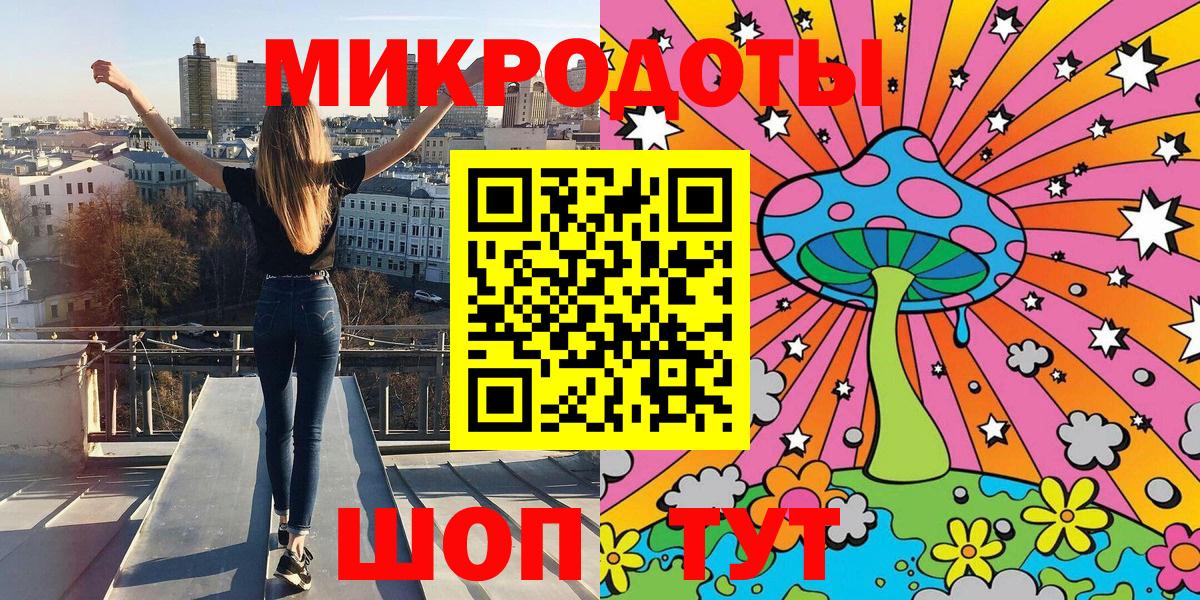Псилоцибиновые грибы Psilocybine cubensis Калининград